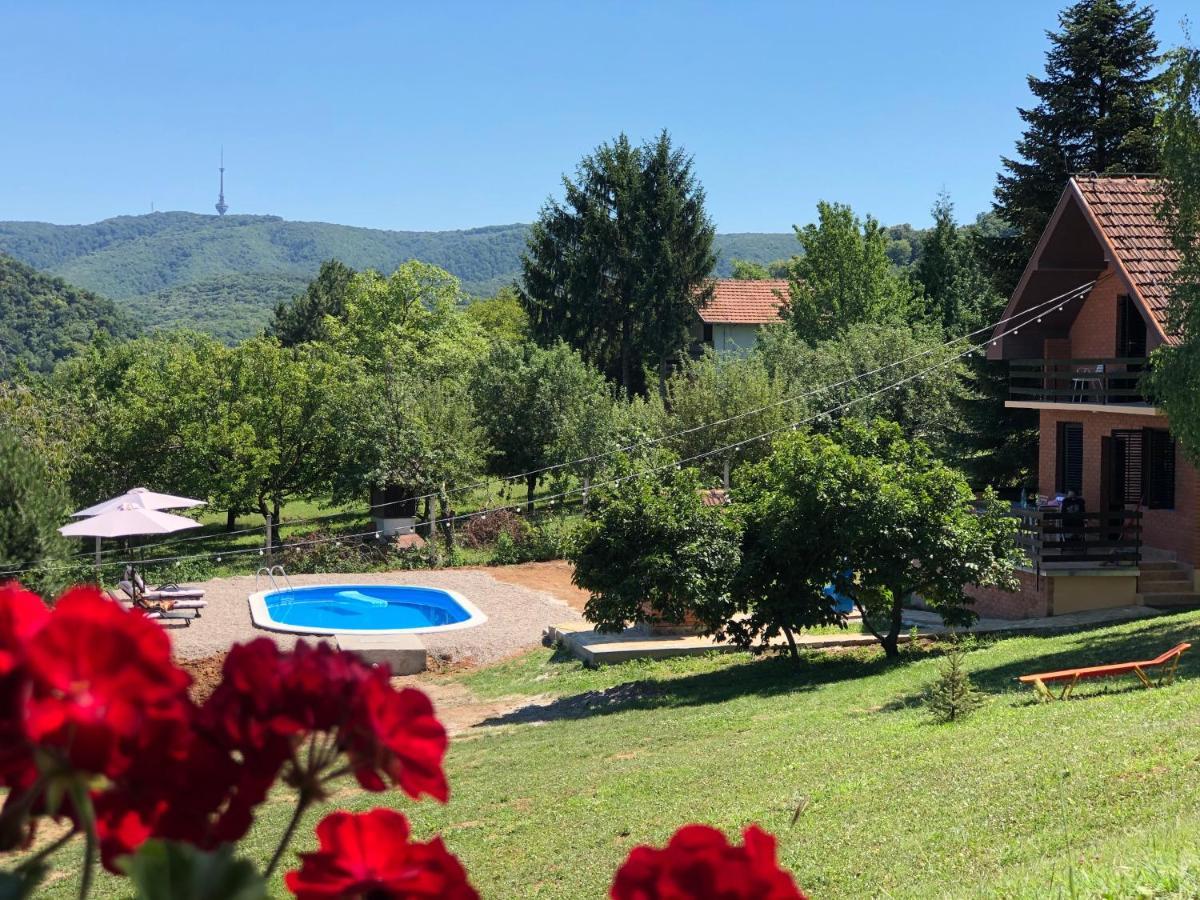 Fruska Pool House Βίλα Sremska Kamenica Εξωτερικό φωτογραφία