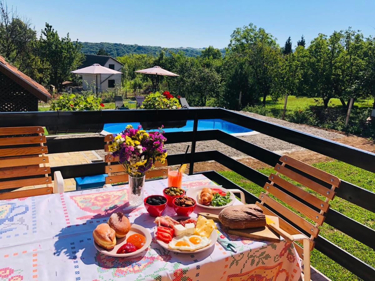 Fruska Pool House Βίλα Sremska Kamenica Εξωτερικό φωτογραφία