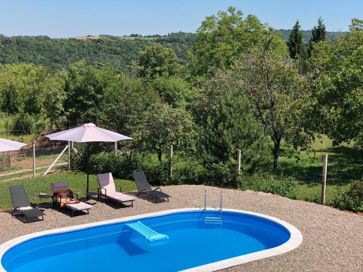 Fruska Pool House Βίλα Sremska Kamenica Εξωτερικό φωτογραφία