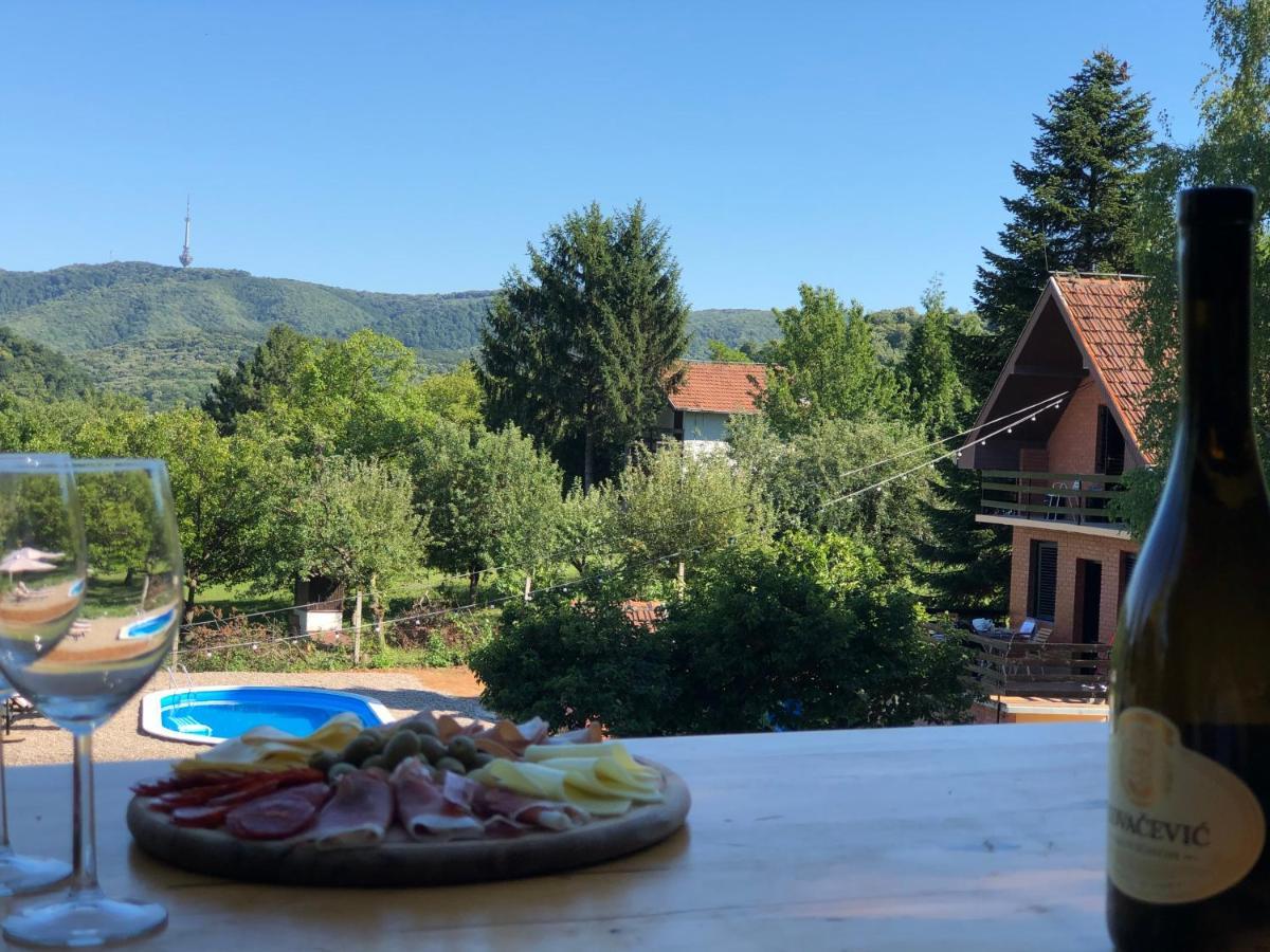 Fruska Pool House Βίλα Sremska Kamenica Εξωτερικό φωτογραφία