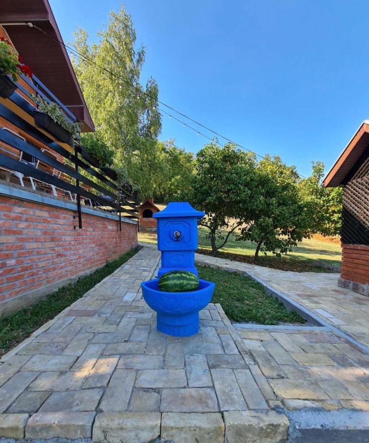 Fruska Pool House Βίλα Sremska Kamenica Εξωτερικό φωτογραφία