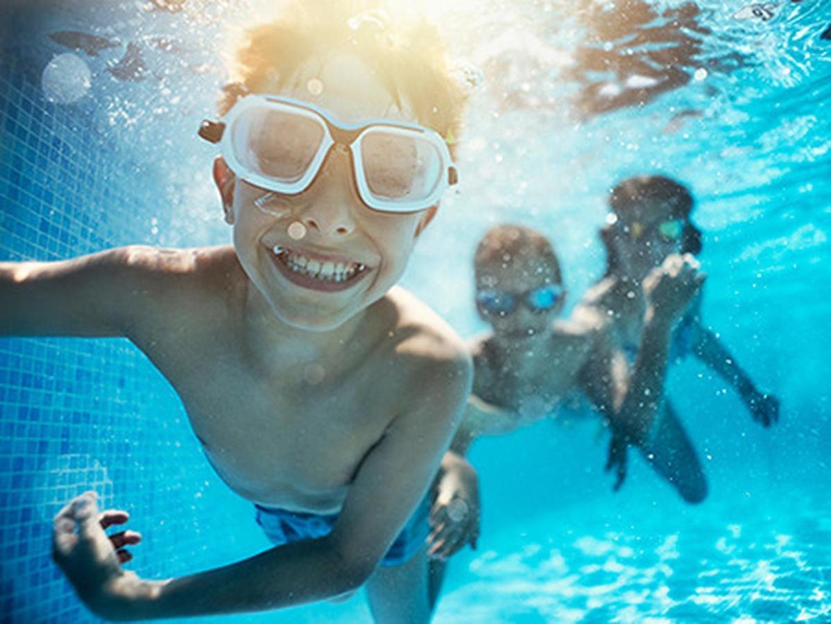 Fruska Pool House Βίλα Sremska Kamenica Εξωτερικό φωτογραφία