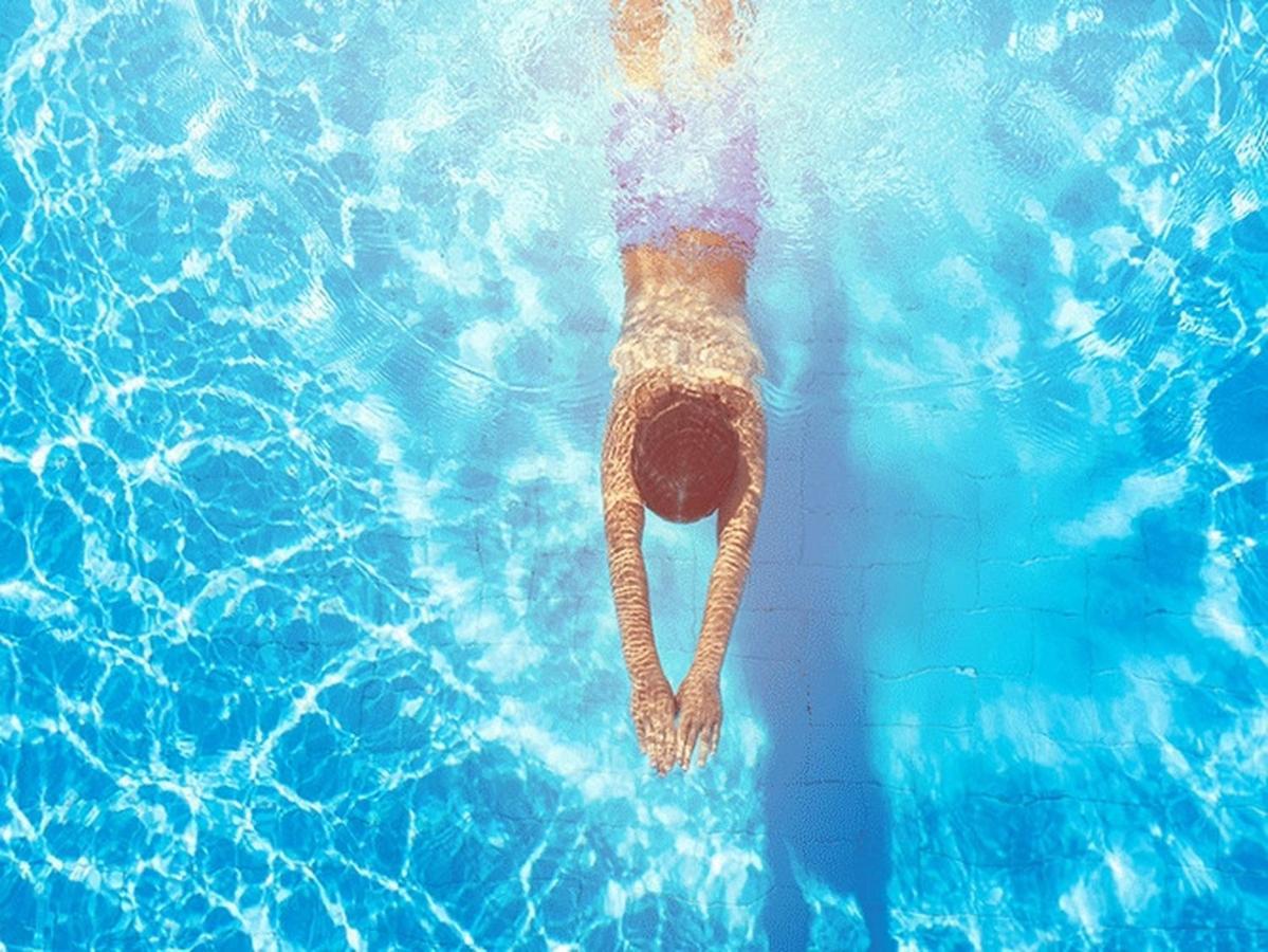 Fruska Pool House Βίλα Sremska Kamenica Εξωτερικό φωτογραφία