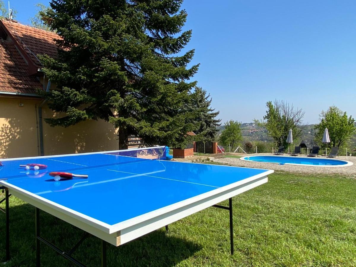 Fruska Pool House Βίλα Sremska Kamenica Εξωτερικό φωτογραφία
