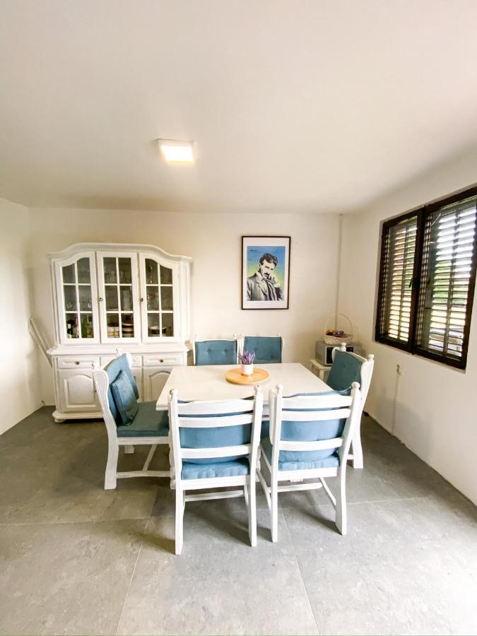 Fruska Pool House Βίλα Sremska Kamenica Εξωτερικό φωτογραφία