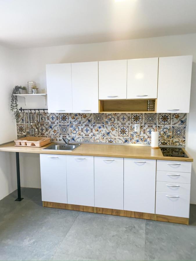 Fruska Pool House Βίλα Sremska Kamenica Εξωτερικό φωτογραφία