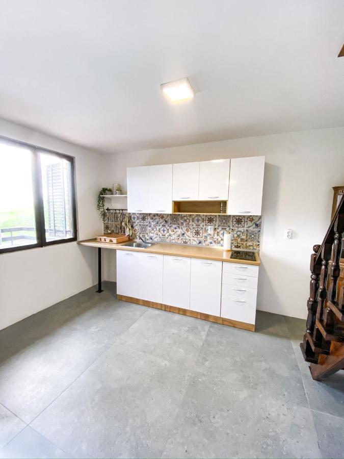 Fruska Pool House Βίλα Sremska Kamenica Εξωτερικό φωτογραφία