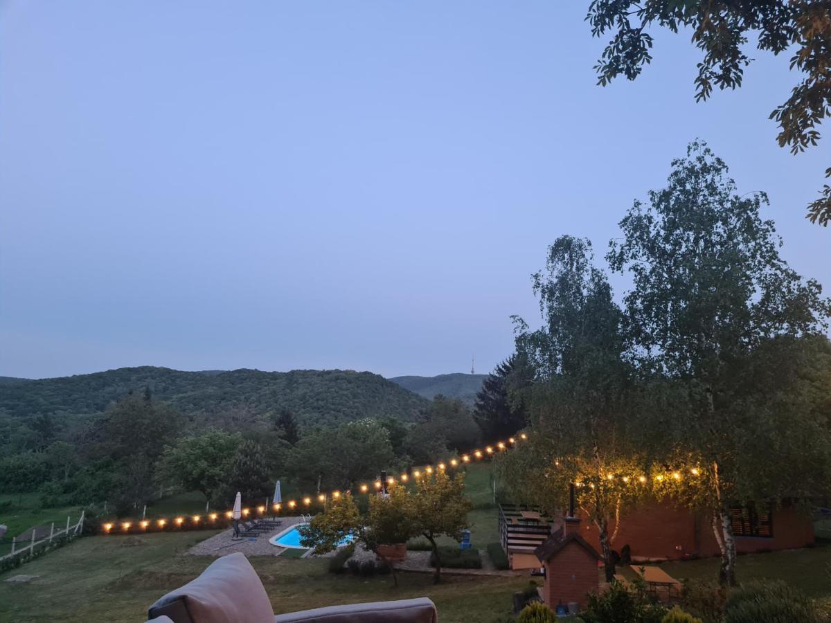 Fruska Pool House Βίλα Sremska Kamenica Εξωτερικό φωτογραφία