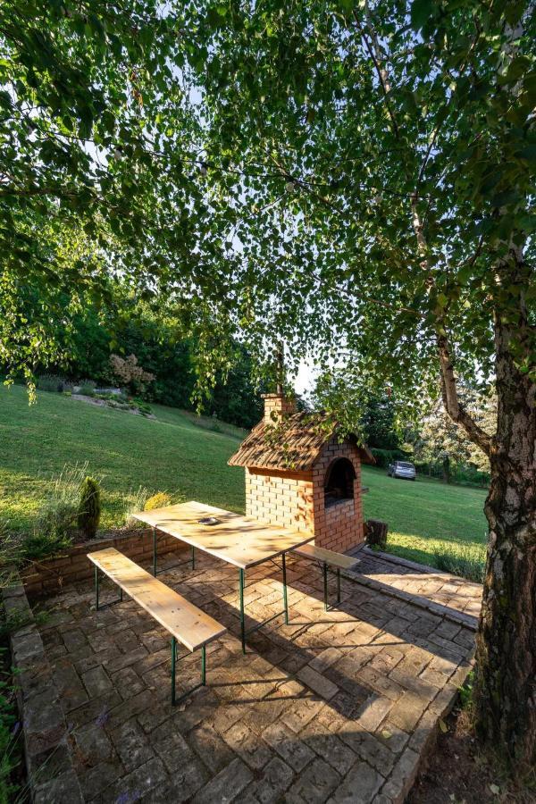 Fruska Pool House Βίλα Sremska Kamenica Εξωτερικό φωτογραφία