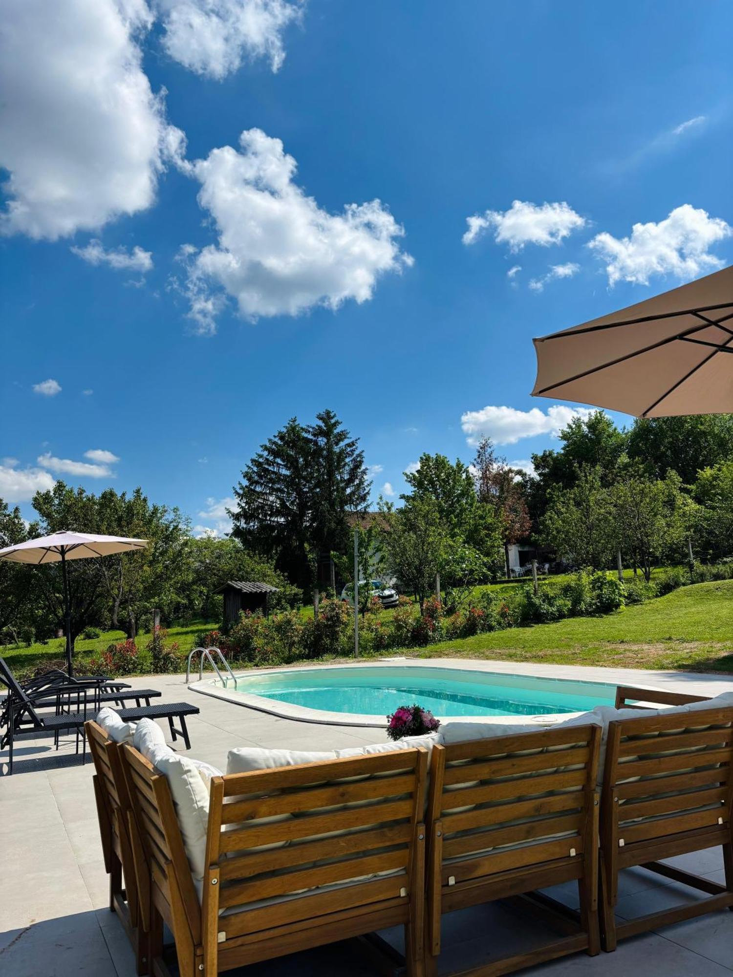 Fruska Pool House Βίλα Sremska Kamenica Εξωτερικό φωτογραφία