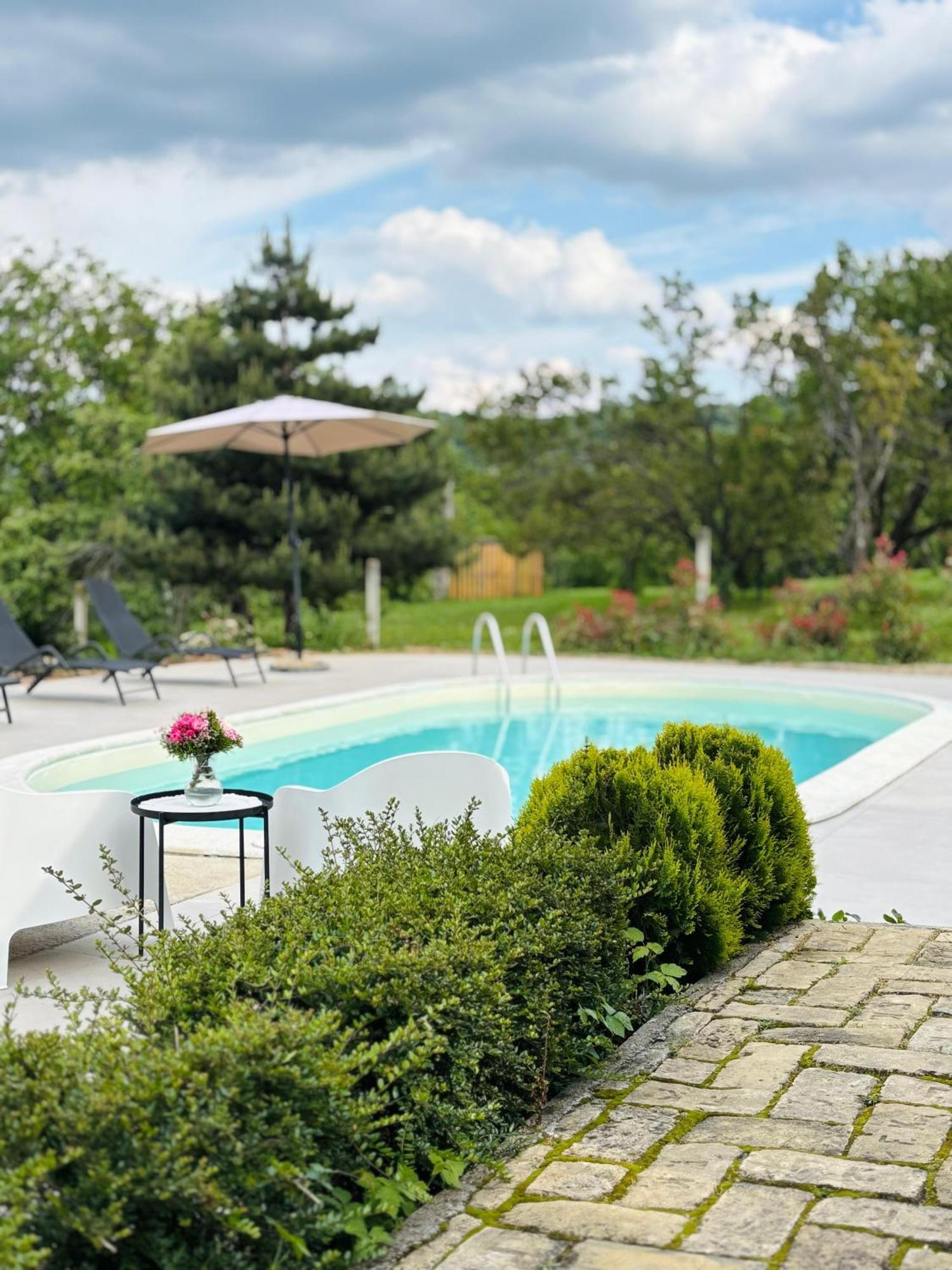 Fruska Pool House Βίλα Sremska Kamenica Εξωτερικό φωτογραφία