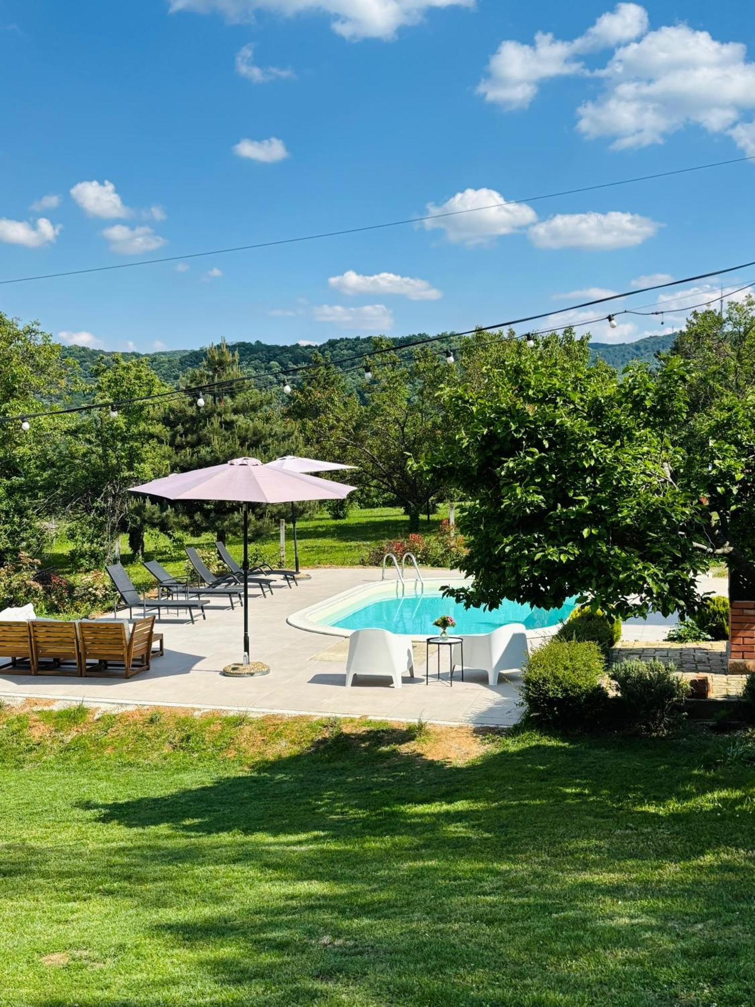 Fruska Pool House Βίλα Sremska Kamenica Εξωτερικό φωτογραφία